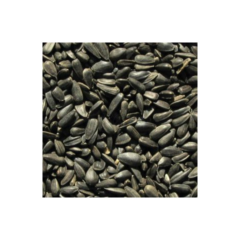 Vitafitt fekete napraforgó (300gr) 600ml
